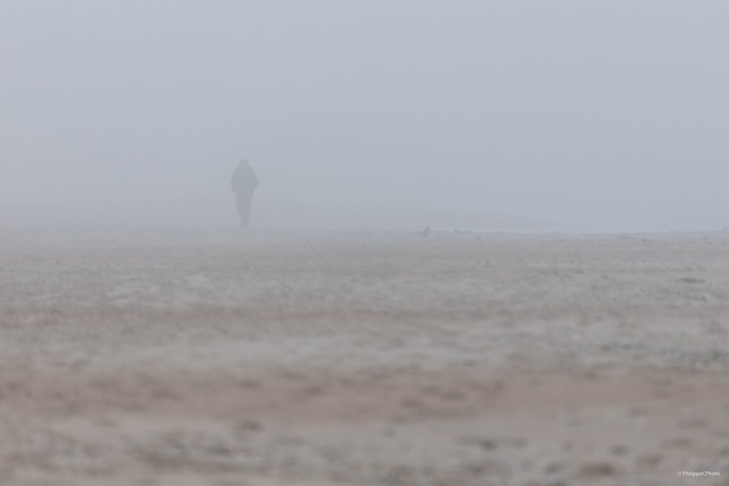 Misty Beach / Koksijde