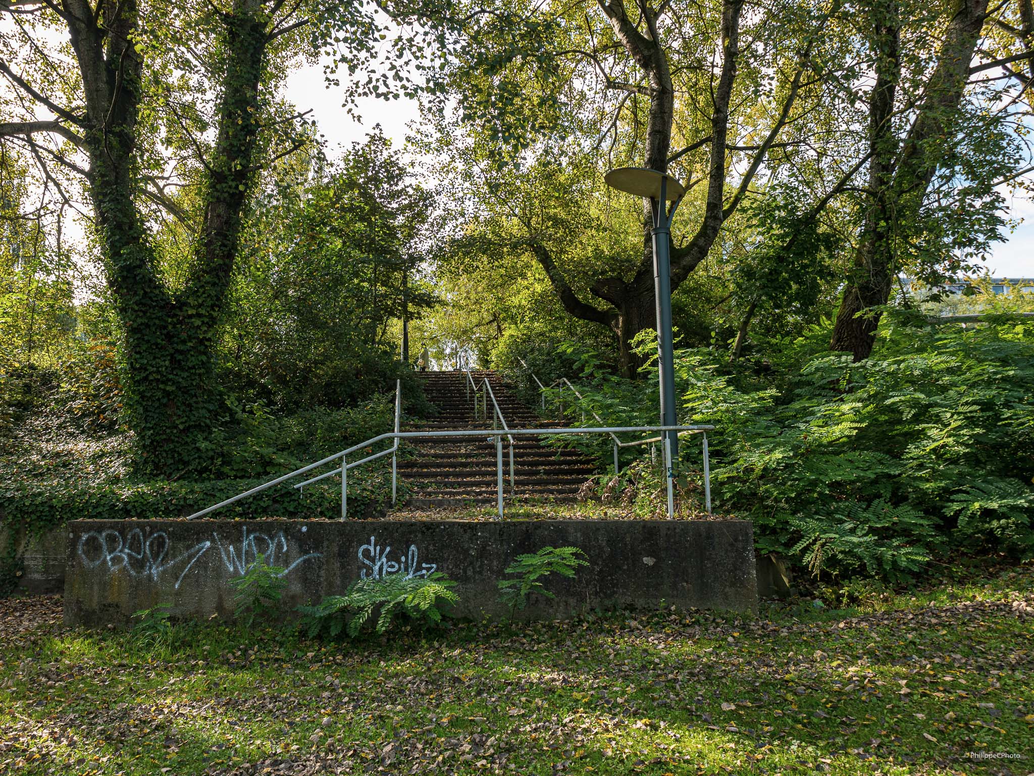 Parcs Bruxellois : Parc de Scheutveld